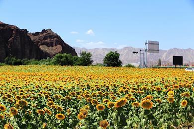 《星球大战绝地：幸存者》将包含五种光剑形态