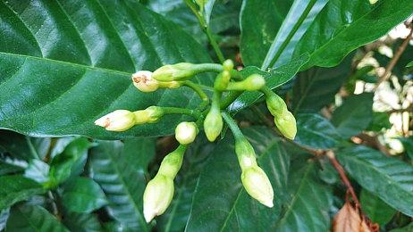 国产新作《太吾异世劫》上架Steam 太吾背景动作游戏